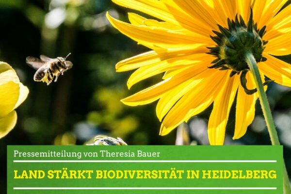 Biodiversität