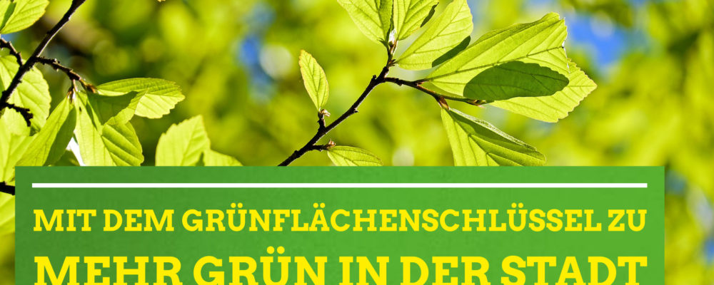 PM 19-05-24 PM Grünflächenschlüssel