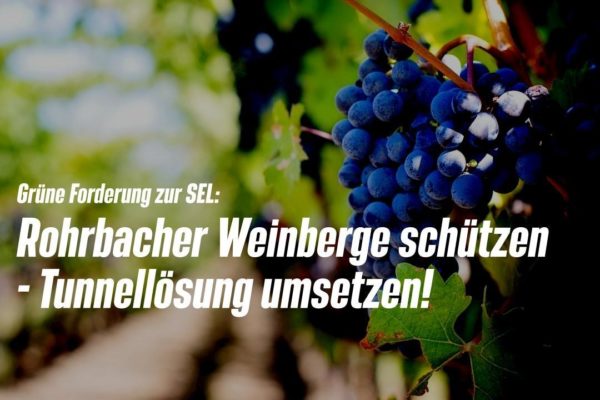 Rohrbacher Weinberge schützen – Tunnellösung umsetzen