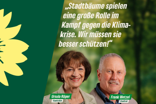 Geheimnisse der Stadtbäume: Palmen und Feigen auf dem Vormarsch