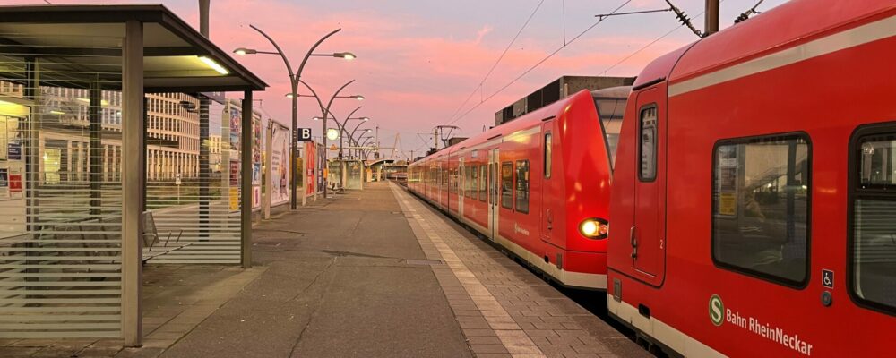 2025-11-12 Stadtblatt Grüne