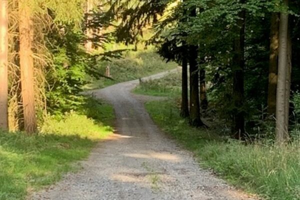 Klares Votum für die Energiewende – und ein Auftrag an die Region