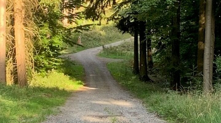 2025-11-19 Stadtblatt Grüne