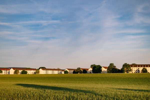 Stopp der Verkaufsverhandlung von PHV: Grüne fordern konstruktive Lösung
