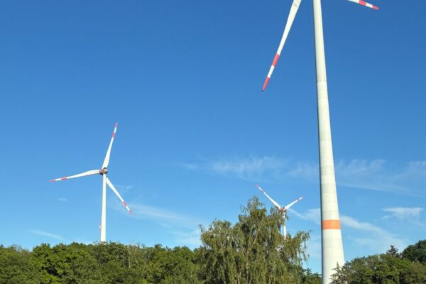 Fit in Fakten zum Thema Windenergie