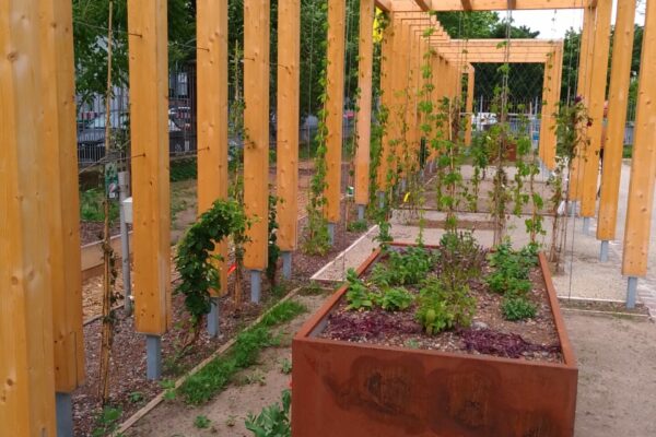 Klimawandelgarten im Klinikum in Bergheim