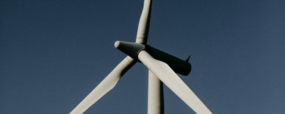 2026-06-17 Beitrag Sonderbeilage Grüne