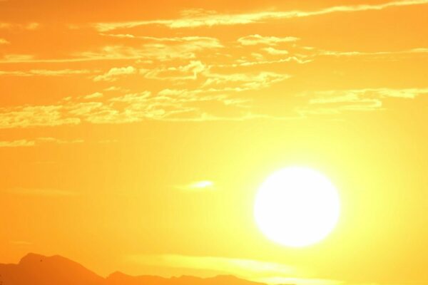 Hitzewelle: Umgehen mit dem Klimawandel